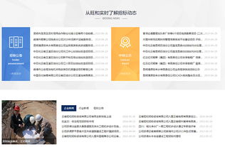 旺和招標(biāo)咨詢(xún) 專(zhuān)業(yè)引領(lǐng)，精準(zhǔn)服務(wù)工程招標(biāo)與商務(wù)信息咨詢(xún)